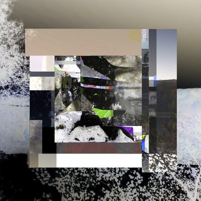 Den fragmenterede digitale natur af Stefan Fransson