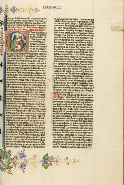 Initial E: En profet af Stefan Lochner