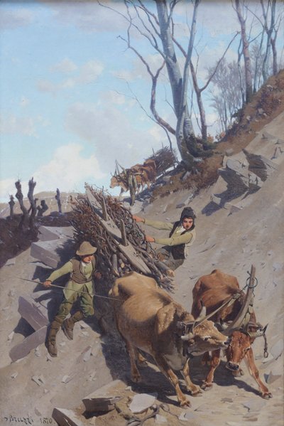 Vanskeligt skridt af Stefano Bruzzi