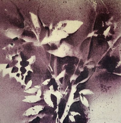 Mørk botanisk abstraktion af Stefano Mazzolini