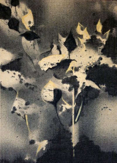 Mørke botaniske former af Stefano Mazzolini