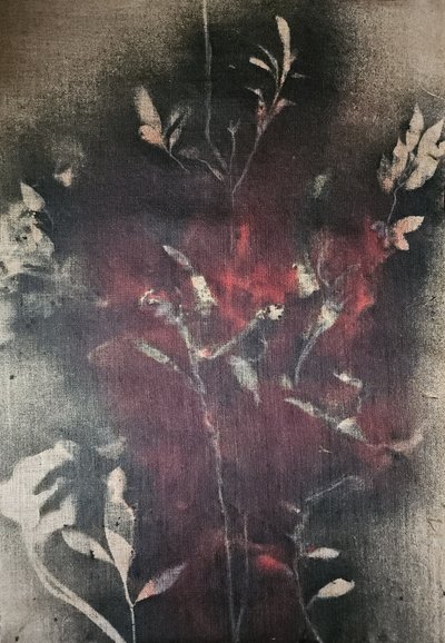 Mørk botanisk glød af Stefano Mazzolini
