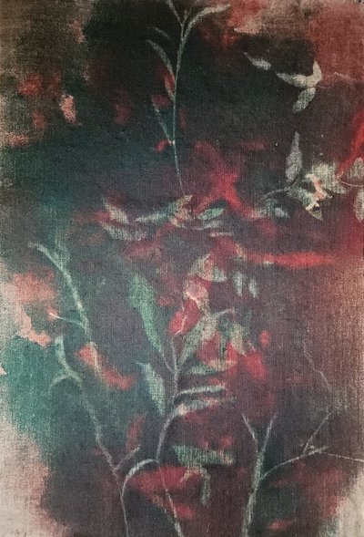 Mørk botanisk ro af Stefano Mazzolini