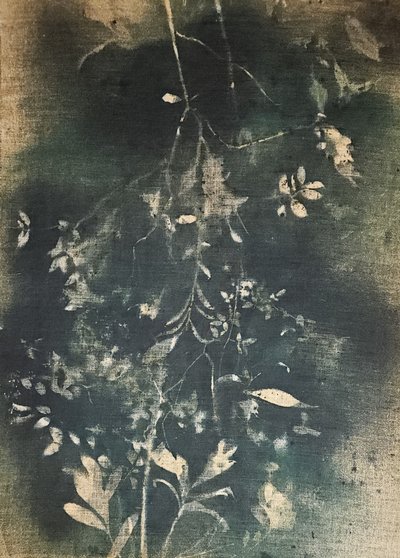Mørk botanisk studie af Stefano Mazzolini