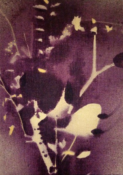 Dybt lilla botaniske motiver af Stefano Mazzolini