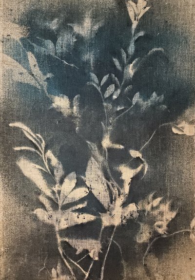 Æteriske blå botaniske motiver af Stefano Mazzolini