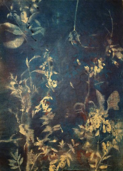 Æteriske blå botaniske motiver af Stefano Mazzolini