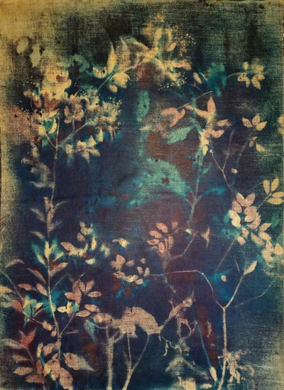 Æteriske blå botaniske motiver af Stefano Mazzolini