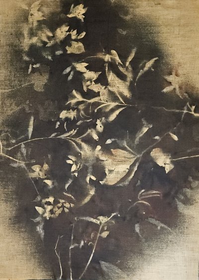 Stemningsfulde blomsterskygger af Stefano Mazzolini