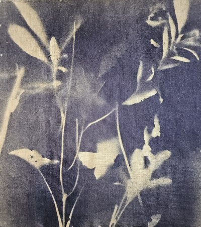Vintage botaniske blå nuancer af Stefano Mazzolini