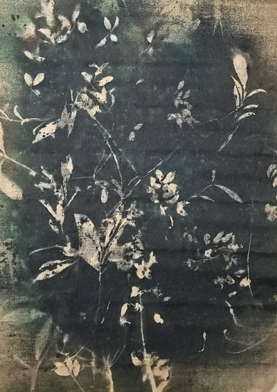 Vintage botaniske silhuetter af Stefano Mazzolini