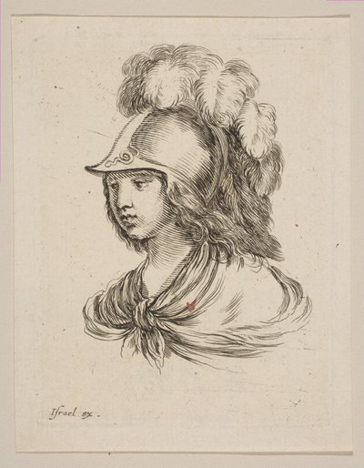 Head of Minerva, fra 