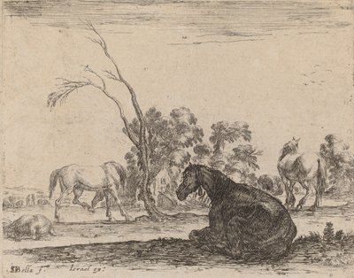 Heste på en græsgang, 1642. af Stefano della Bella