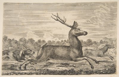 Hunde jagter en kronhjort og en dåe, ca. 1654. af Stefano della Bella