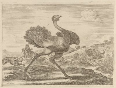 Strudsejagt. af Stefano della Bella