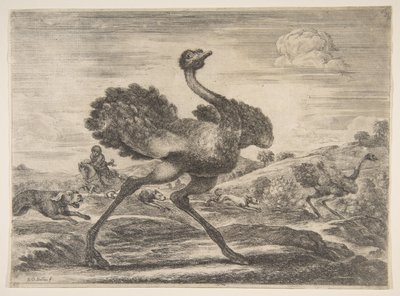 Strudsejagt, fra Animal hunts Jagt på forskellige dyr, ca. 1654. af Stefano della Bella