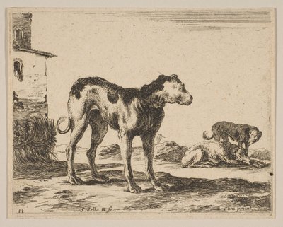 Tavle 11: hunde, fra Diverse dyr Diversi animali, ca. 1641. af Stefano della Bella