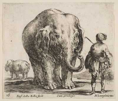 Plade 16: en elefant i midten, hans mahout stående til højre iført en Orient..., ca. 1644-47. af Stefano della Bella