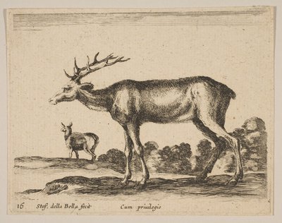 Tavle 16: kronhjort, fra Diverse dyr Diversi animali, ca. 1641. af Stefano della Bella