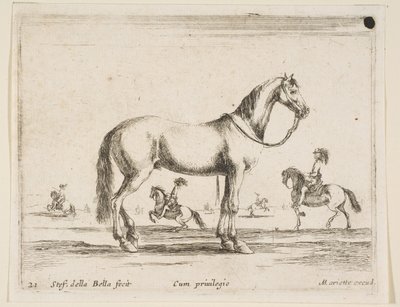 Tavle 21: hest, fra Diverse dyr Diversi animali, 1641. af Stefano della Bella