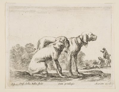 Plade 23: to hunde, fra Diverse dyr Diversi animali, ca. 1641. af Stefano della Bella
