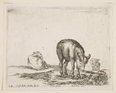 Plade 24: æsler, fra Diverse dyr Diversi animali, ca. 1641. af Stefano della Bella