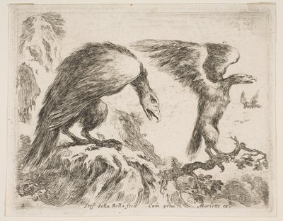 Plade 2: ørn og ørn, fra Diverse dyr Diversi animali, ca. 1641. af Stefano della Bella