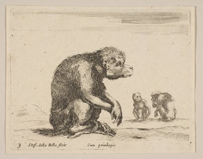 Plade 3: siddende abe, fra Diverse dyr Diversi animali, ca. 1641. af Stefano della Bella