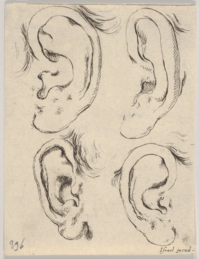 Plade 5: fire ører, fra Bogen om at lære at tegne Bog til at lære at tegne..., ca. 1649. af Stefano della Bella