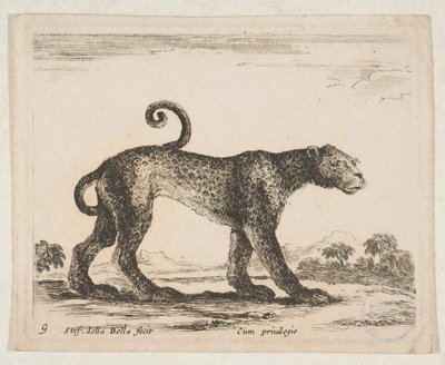 Plade 9: leopard, fra 