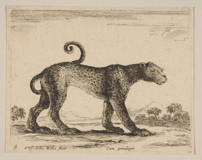 Plade 9: leopard, fra Diverse dyr Diversi animali, ca. 1641. af Stefano della Bella