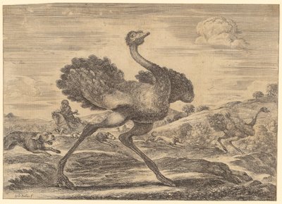 Strudsejagt af Stefano della Bella