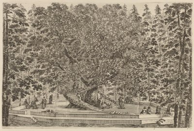 Det beboede træ, sandsynligvis 1653. af Stefano della Bella