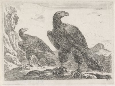 To ørne med hoveder til højre Eagles (serietitel) af Stefano della Bella