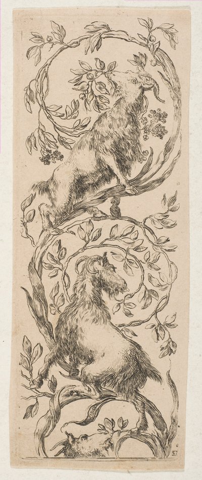 To geder nappe grene, ca. 1653. af Stefano della Bella