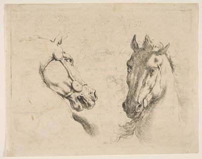 To hestehoveder, ca. 1649. af Stefano della Bella