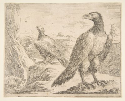 To ørne, fra Eagles Les aigles, ca. 1651. af Stefano della Bella
