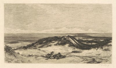 Søormen af Stephen Alonzo Schoff, after Elihu Vedder