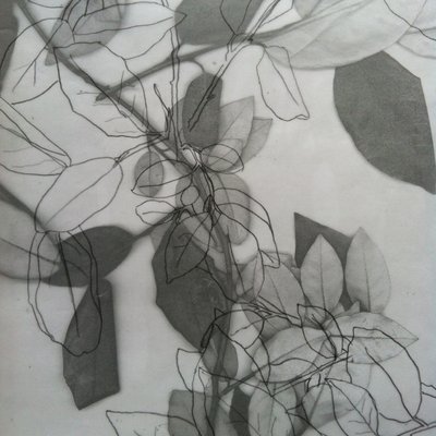 Botanisk, 2014 (digital) af Stephen Dow