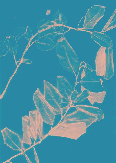 Freyr VI Dawn, 2018 (digital) af Stephen Dow