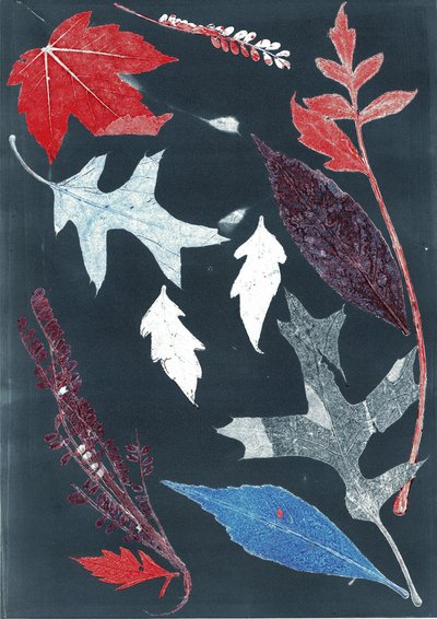 Jol X, 2017 (monoprint på papir) af Stephen Dow