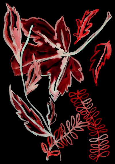 Night Flora I, 2018 (digital) af Stephen Dow
