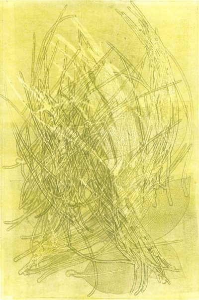 Summer Garden V, 2015 (monoprint på papir) af Stephen Dow