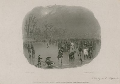 Skøjteløb på Serpentine, Hyde Park, London af Stephen Pearce
