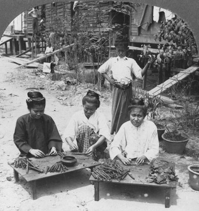 Fremstilling af enorme cigarer røget af kvinder, Burma, 1908 af Stereo Travel Co
