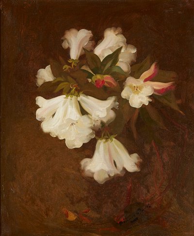 A Still Life of White Lilies (olie på lærred) af Stuart Park