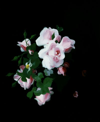 Lyserøde roser. Maleri af Stuart Park (1862-1933) Privat samling. af Stuart Park