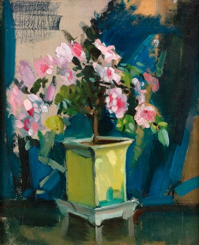 Camellia, ca. 1920 (olie på panel) af Sunderland Rollison