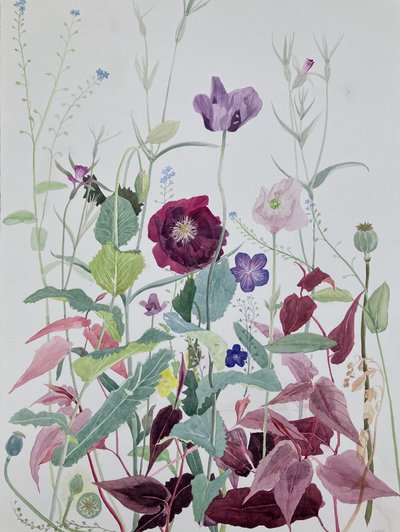 Garden Flowers, June, 2025 (akvarel på papir) af Suzy Fasht