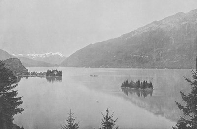 Iseltwald, Lac de Brienz (s/h-billede) af Swiss Photographer
